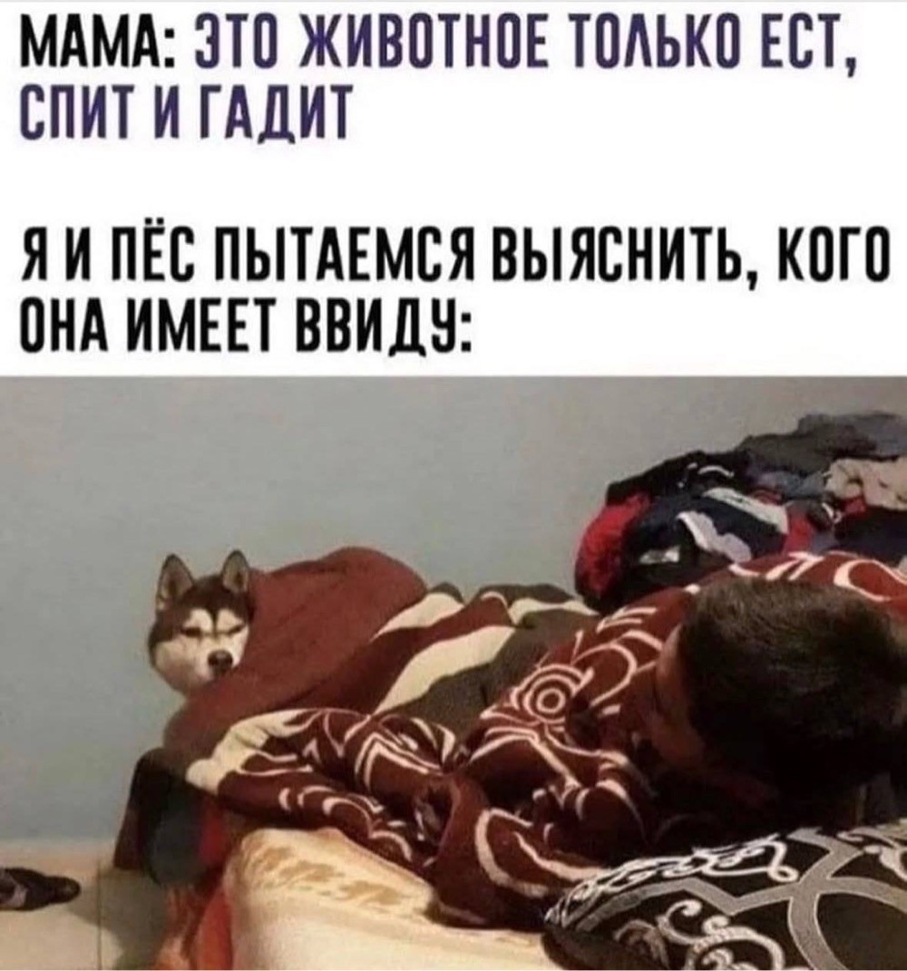20536464.jpg