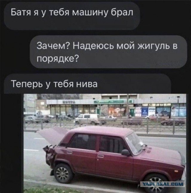 Картинки для деградации 176 (разной степени свежести)