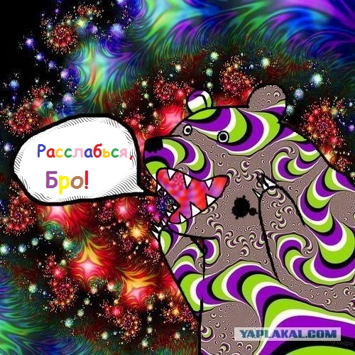 Почему президентом России должна быть ШИНШИЛЛА?