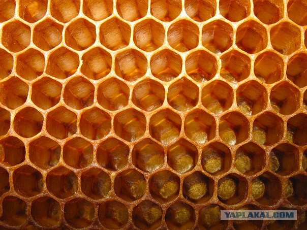 Весь Мир и Вселенная числовая матрица