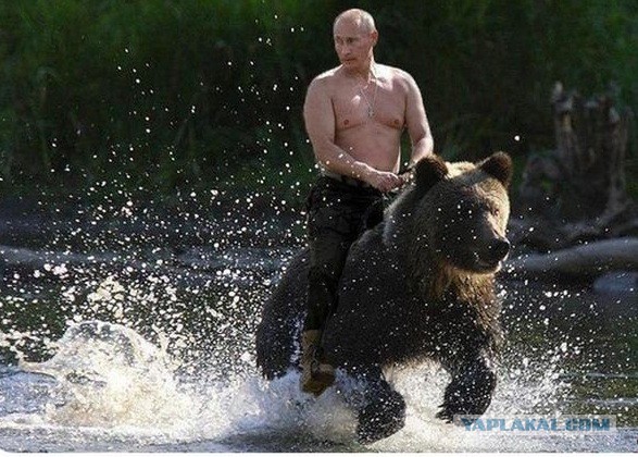 Путин отметит День Рождения в сибирской тайге