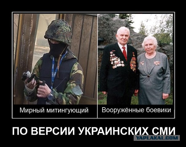 Гага, Путин, украинские СМИ и собаки