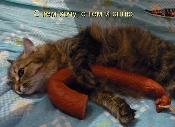 Картинки и демотиваторы