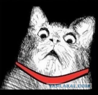 "Оцените ужасные последствия торнадо... Стоп! Что это?"