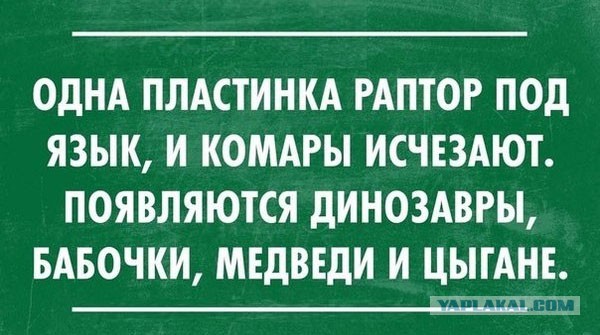 Бесчеловечные опыты в детском саду. История одного эксперимента…