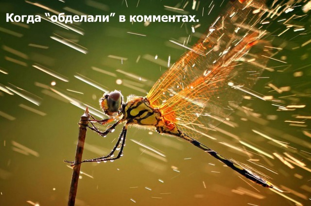 Эх! Жизнь козявочная...