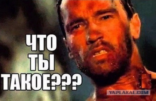 Олигархи, трепещите! Жуткая мукла-охотница за олигархами - Сандра Бурмистрова