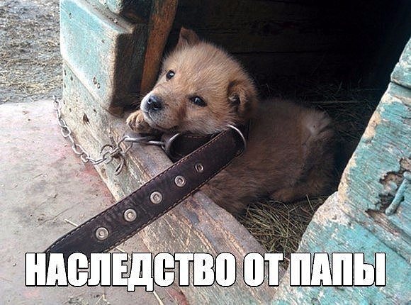 Старые добрые баяны, на случай если кто то стал забывать