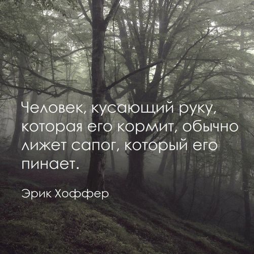 Ух ты, ну как же всё в точку!