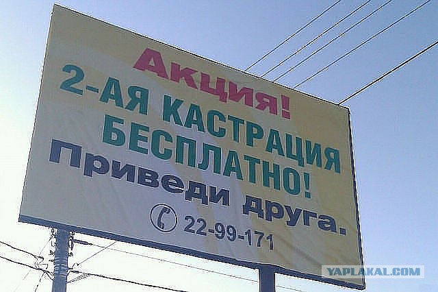 С юбилеем ВВП