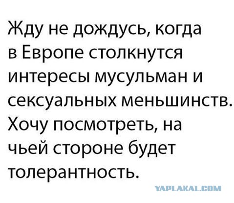 Подборка интересных и веселых картинок 21.02.18