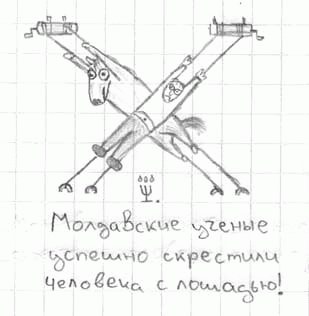 Рисунки простым карандашом