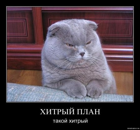 Итоги проверки пользователей