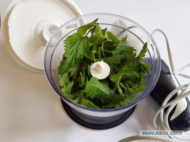 Кулинары поздравляют ЯП с днём рождения!