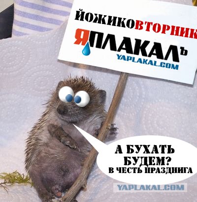 Йожиковторник на ЯПе