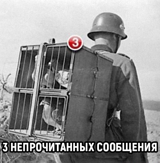 Немного картинок на выходные
