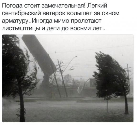 Немного картинок на вечер