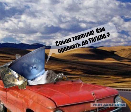Ну чё уставился?