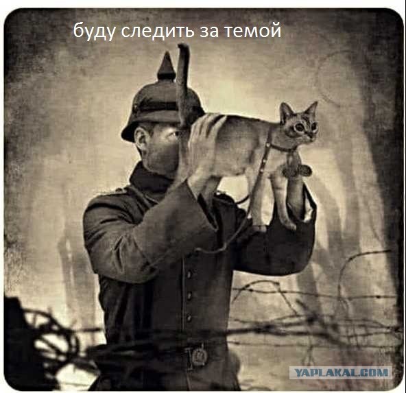 Оружие массового обожания