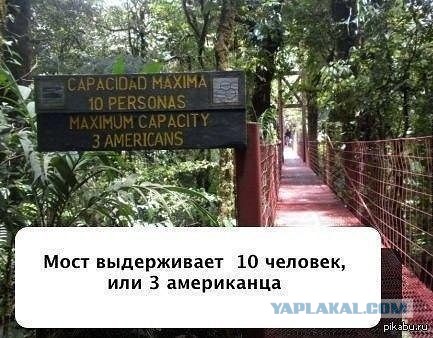 Сломали верблюда