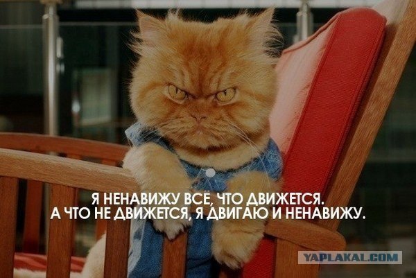 Движущиеся камни – Долина Смерти
