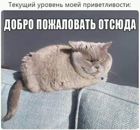 Немного картинок с надписями и без - 30
