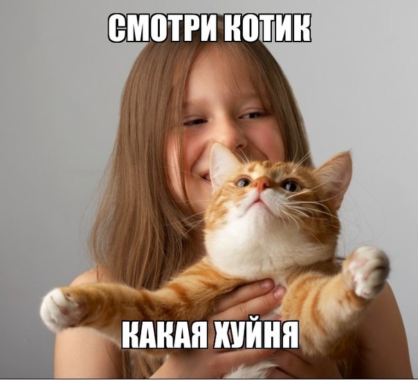 В Волгограде сын Тамерлана Носаева - заместителя представителя главы Чеченской Республики раскидывал деньги