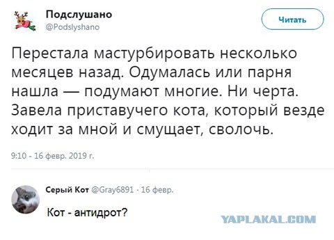 Пара-пара-пам! Фьють. Картинки с надписями 22.02.20