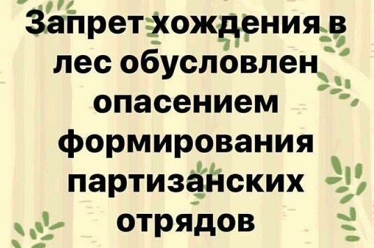 Более 1,3 тыс. человек оштрафованы в Москве в субботу за несоблюдение дистанции