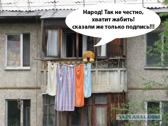 Конкурс: подпись к картинке