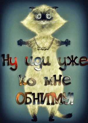 Вон с моей территории