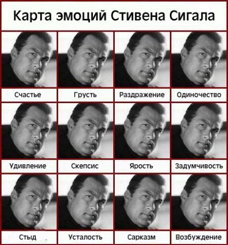 Приходите к нам в ботанику, орнитологию и электронику, у нас есть вещи, которые трудно друг от друга отличить