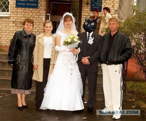 Киса хочет жабы