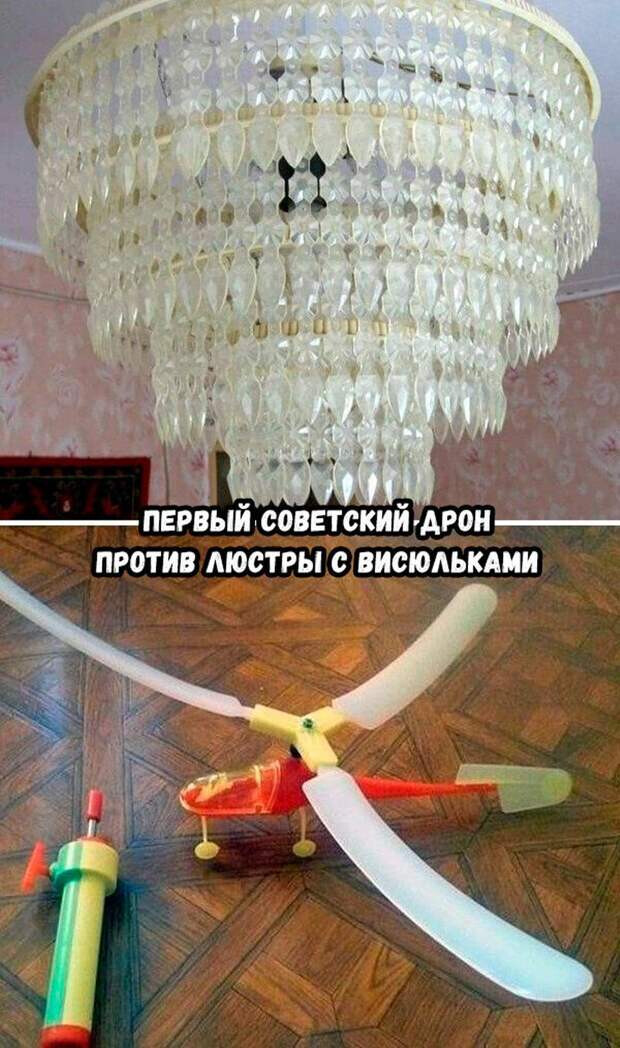 Фотки и картинки: юморные и красивые, забавные и милые 02.11.20