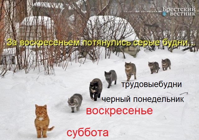 Бредзона 06.02.21