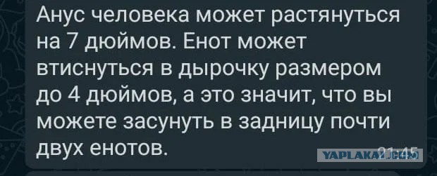 "Здрасьте, я Настя!", коллеги!