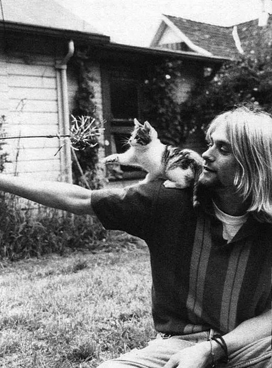 90 фотографий, которые ещё не успел скопипастить товарищь Ше
