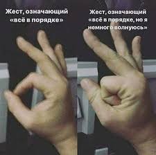 Стойте смирно и бык никого не тронет