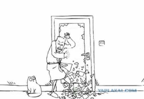 Люди которые не заметили стекло