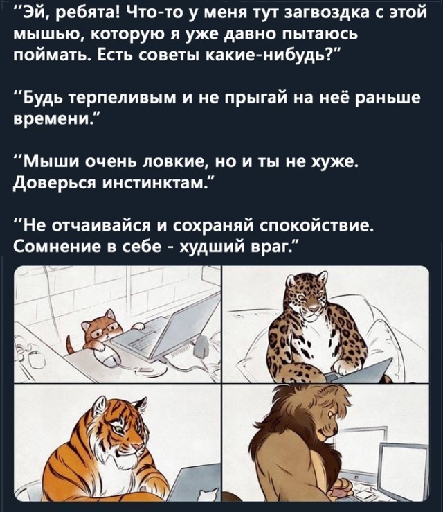 Картинки и мемы для настроения 28.07.2021