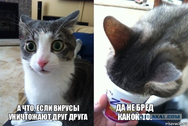 В мире почти исчез сезонный грипп