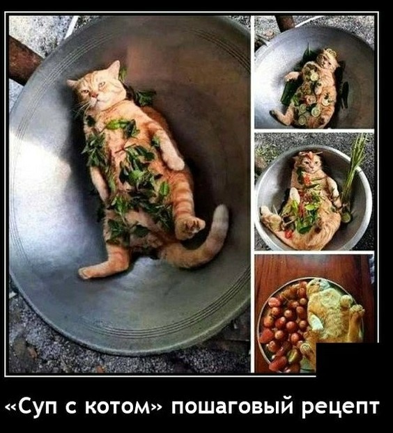 В большой семье лицом не щелкают