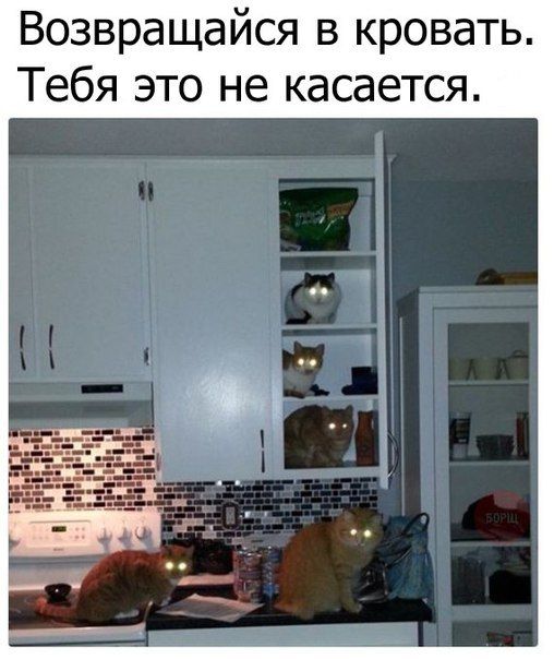 Картинки из рабочего чата 25.06