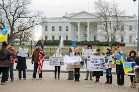Гражданка США задержана за выгул теленка на Красной площади