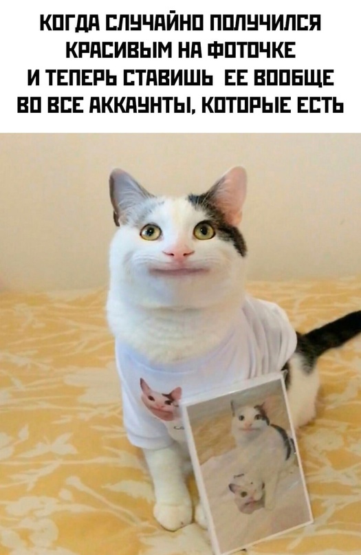 Немного картинок для настроения - 135
