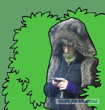 Здравствуй, мой плюшевый мишка!