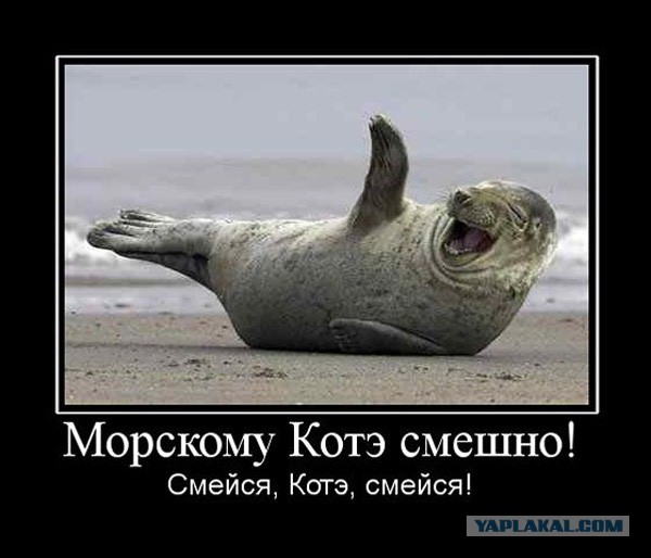 Новый фильм "Гостья"