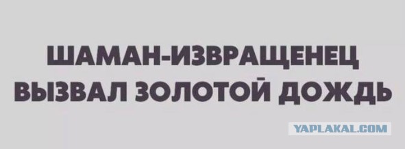 Всего понемногу. От 03.08.23