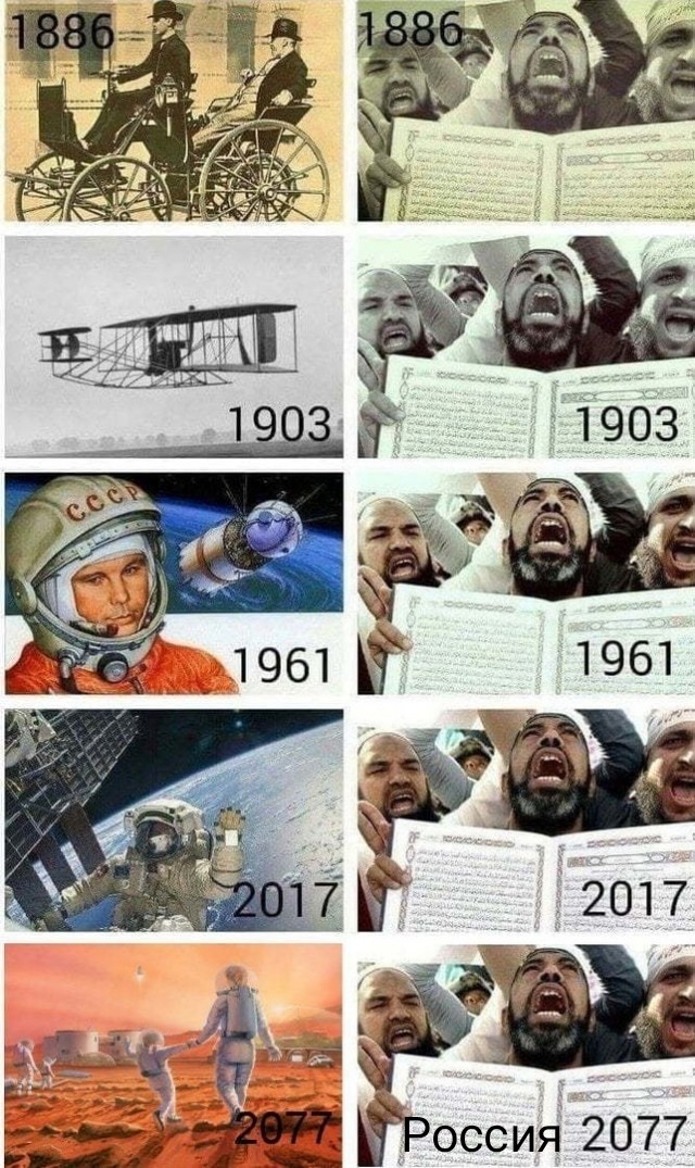 Эволюция без оскорбления⁠⁠
