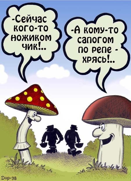 Вот зачем столько грибов?